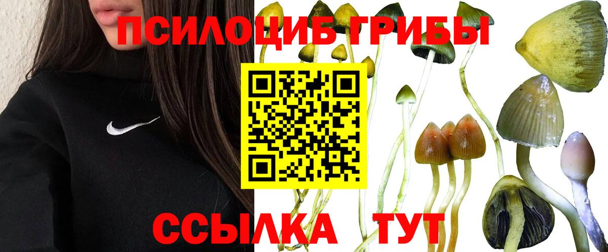 Псилоцибиновые грибы Magic Shrooms Сызрань