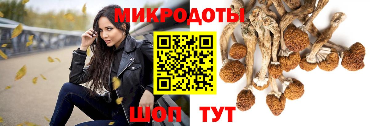 Псилоцибиновые грибы Psilocybe  Вход с VPN  Сызрань 